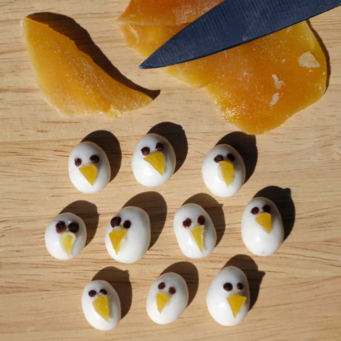 Yogurt birds