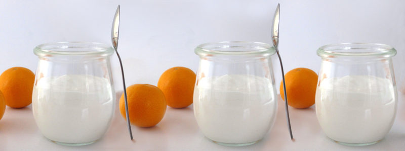 The Science of Yogurt