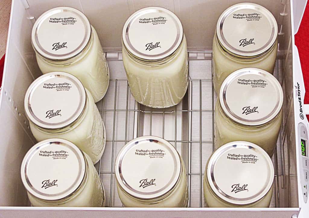 8qt yogurt in proofer 3