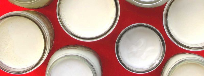 Brod and Taylor Science of Yogurt