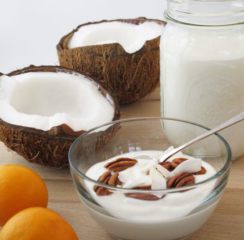 Joghurt aus Kokosmilch Anleitung zum selber machen - Brod &amp; Taylor