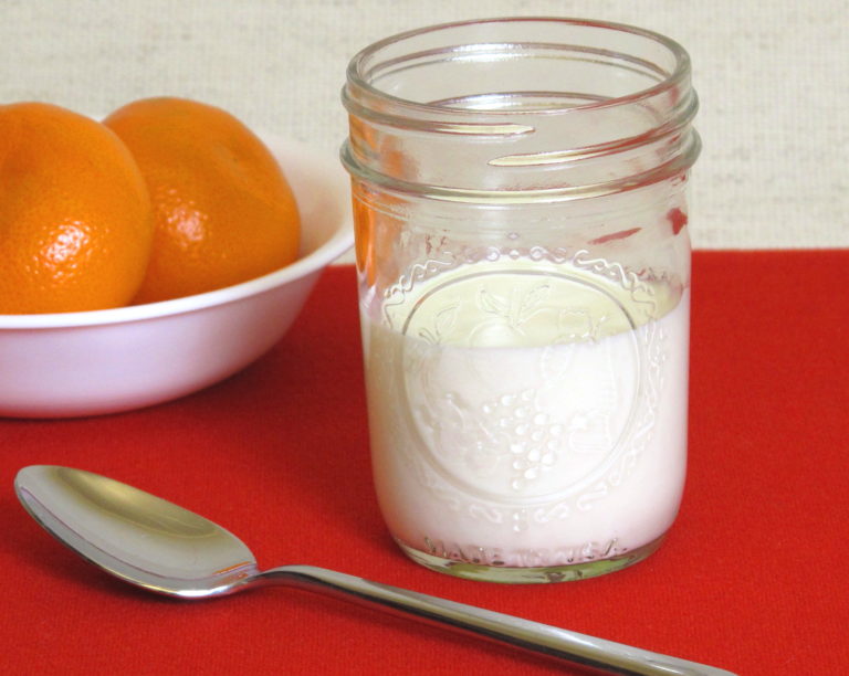 How to Maintain a Yogurt Culture Brod & Taylor