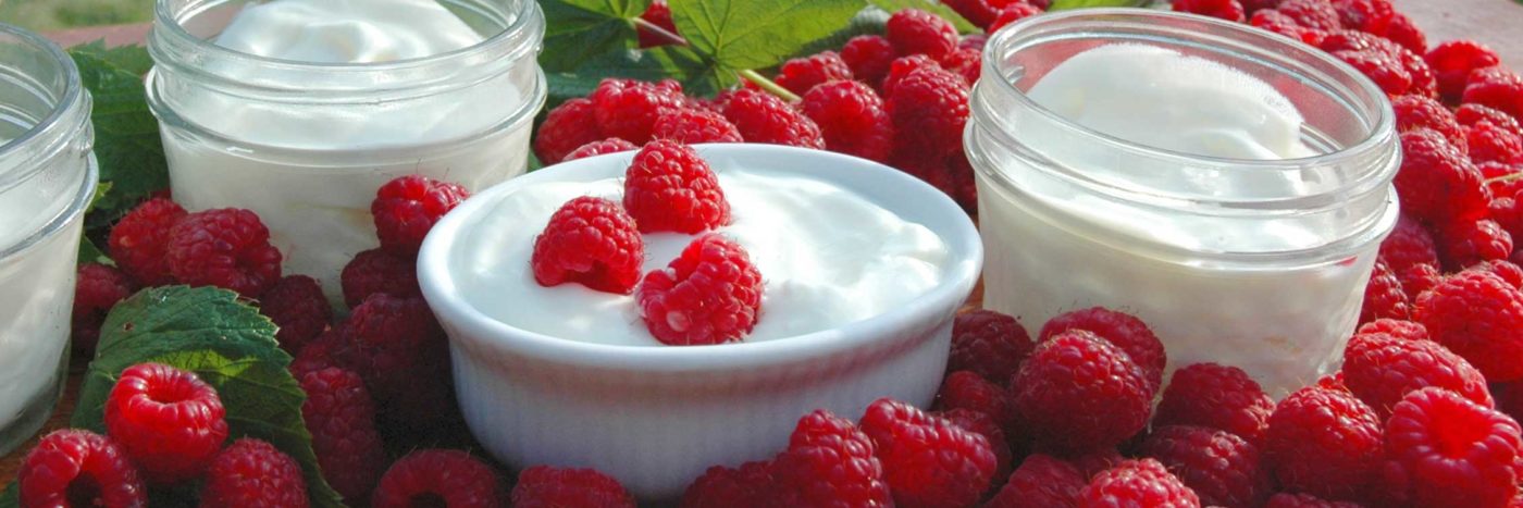 greek yogurt with raspberries
