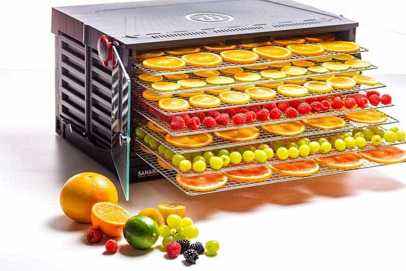 Sahara Folding Dehydrator with Poly Shelves & Silicone Drying Mat, Brod &  Taylor