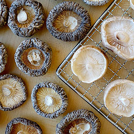 Dörre Union Sieb Platte für Pilze trocknen Dörrobst oder Loft Ablage vintage ! 