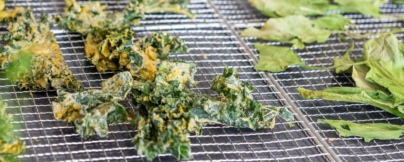Rezept für Grünkohl-Chips zum selber machen im Dörrautomat