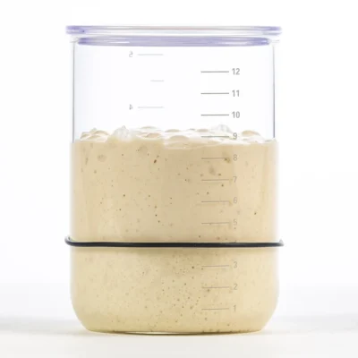 Alternative view of Brod & Taylor Sauerteig Starter Behälter